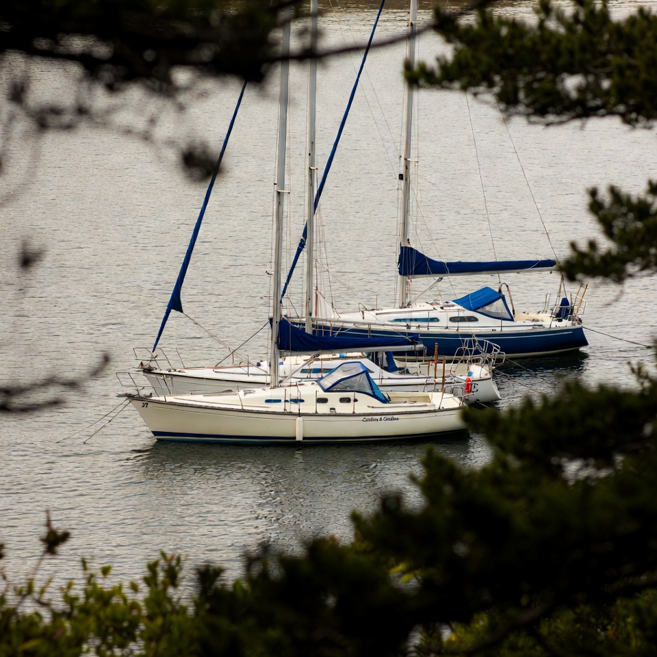 Co-op sailboat moored in a BC harbour
